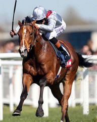 hughes targeting glory in guineas